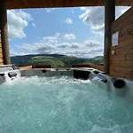 Ours Brun - Vue Panoramique La Bresse-gerardmer * La Bresse