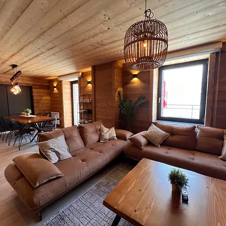 Ours Brun - Vue Panoramique La Bresse-gerardmer Lejlighed La Bresse