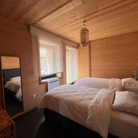 Ours Brun - Vue Panoramique La Bresse-gerardmer * La Bresse