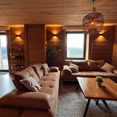 Ours Brun - Vue Panoramique La Bresse-gerardmer Lejlighed