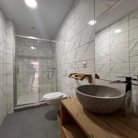 Ours Brun - Vue Panoramique La Bresse-gerardmer La Bresse