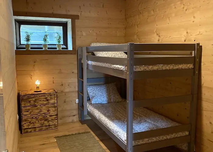 Ours Brun - Vue Panoramique La Bresse-gerardmer アパート