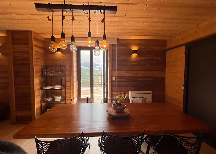 Ours Brun - Vue Panoramique La Bresse-gerardmer