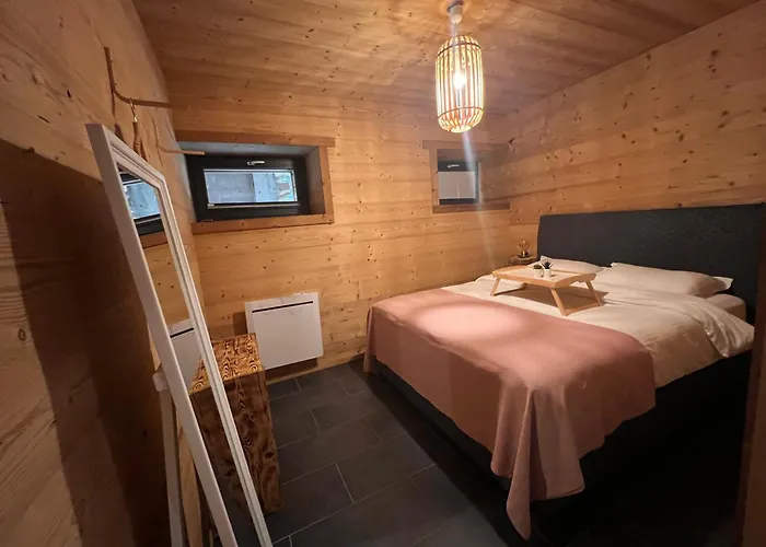 Ours Brun - Vue Panoramique La Bresse-gerardmer *