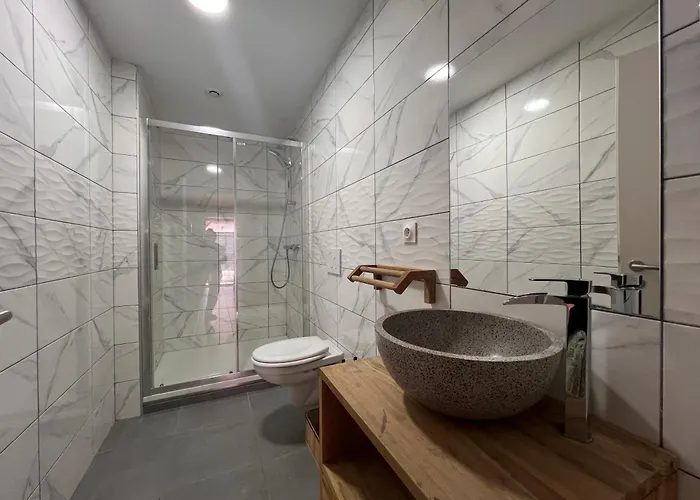 Ours Brun - Vue Panoramique La Bresse-gerardmer ラ・ブレス